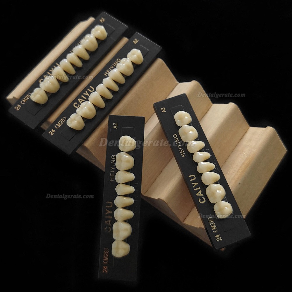 Caiyu Heiying Zahnprothese aus synthetischem Acrylpolymerharz (obere/untere Backenz&auml;hne)